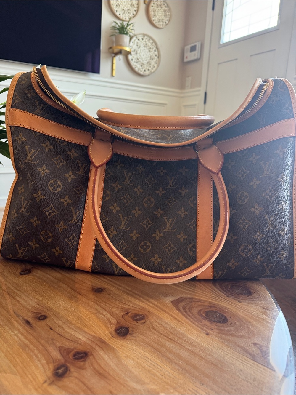 Louis Vuitton Monogram Canvas Brown & Tan Tote Pet Carrier